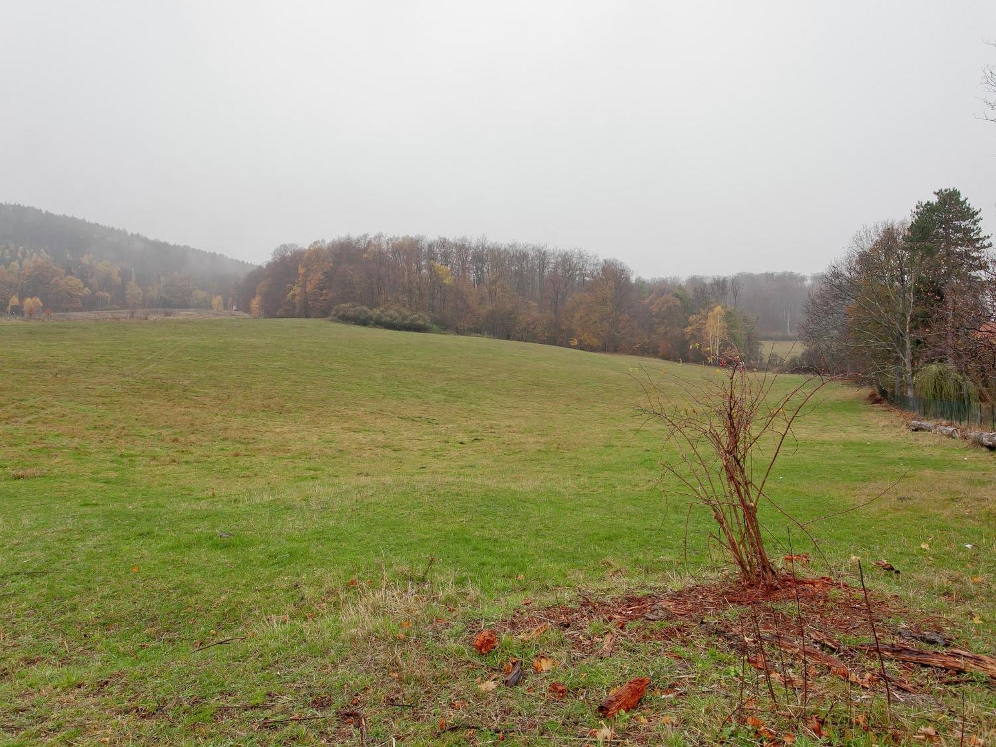 Attractive Bungalow In Ilsenburg With Terrace ภายนอก รูปภาพ